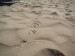 Kimy - stopy v písku.jpg